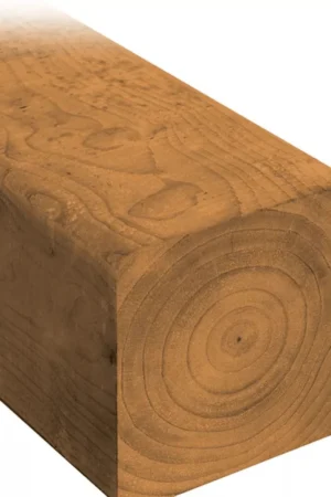 4X4X16 4416 PT Pressure-Treated Lumber