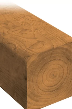 5X5X10 5510 PT Pressure-Treated Lumber